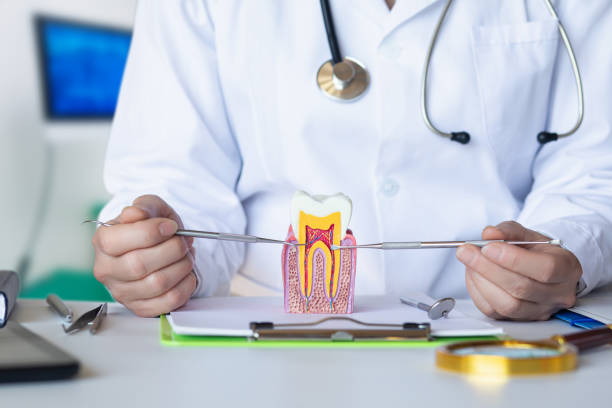 Best Emergency Dental Care for Sports Injuries in Country Clu, MO